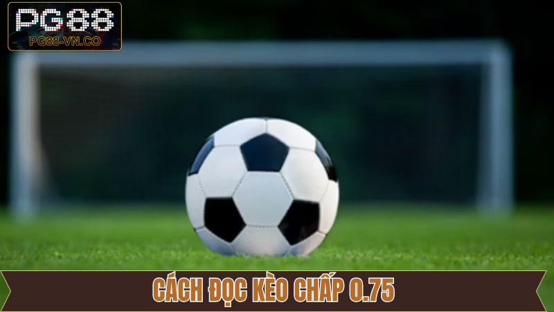 Kèo Chấp 0.75 - Bí Quyết Đọc Kèo Hiệu Quả Cho Người Mới 3 Hướng dẫn đọc kèo chấp 0.75 chính xác cho tân thủ