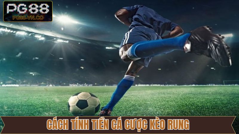 Kèo Rung - Cách Đọc Tỷ Lệ Cược Khi Cá Độ Bóng Đá Tại PG88 4 Hướng dẫn tính tiền thắng khi cá độ Running